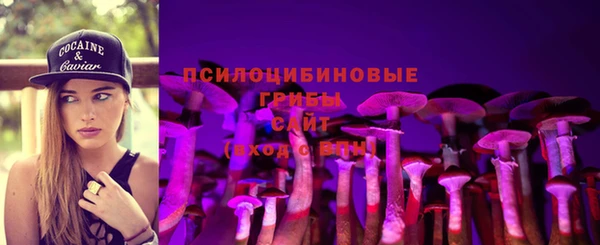 гидропоника Зеленокумск